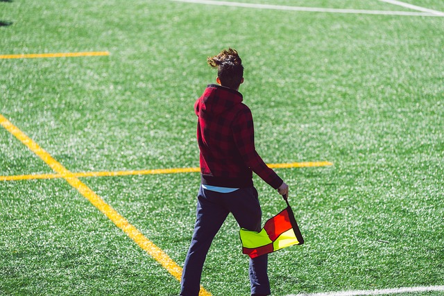 他们很可能 他们很可能