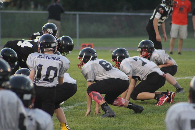 强队还是陪 强队还是陪