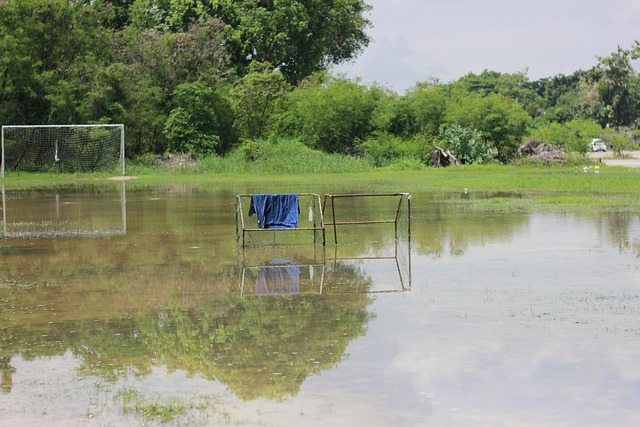 这种独特的 这种独特的