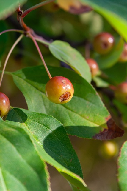 它驱动着人 它驱动着人