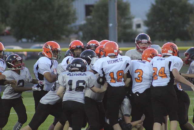 埃弗顿的防 埃弗顿的防