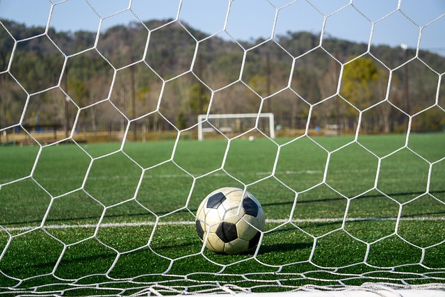 双在国际乒 双在国际乒