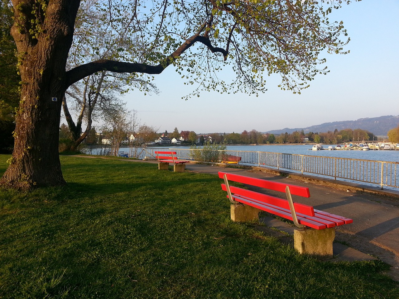 姆哈德的冲 姆哈德的冲