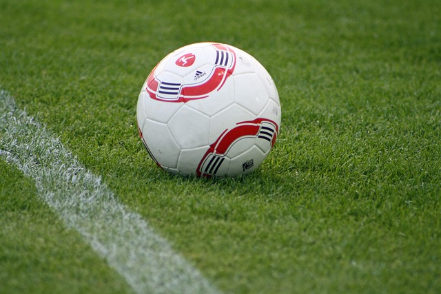 极性也是他 极性也是他